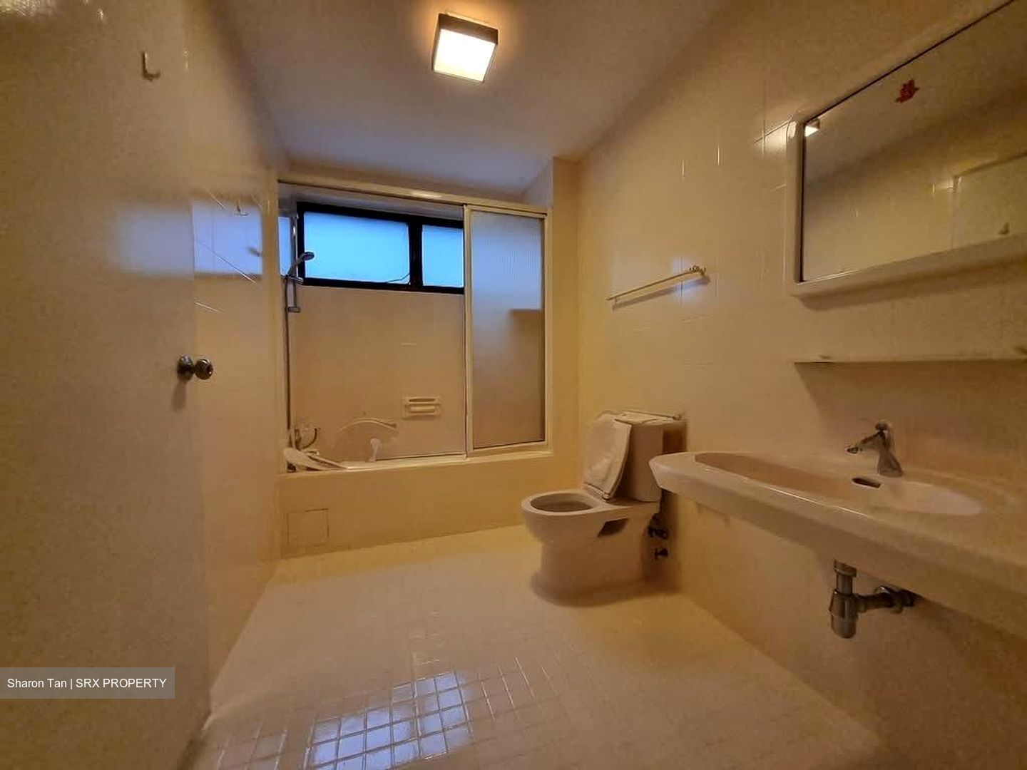 The Cairnhill (D9), Condominium #556177661